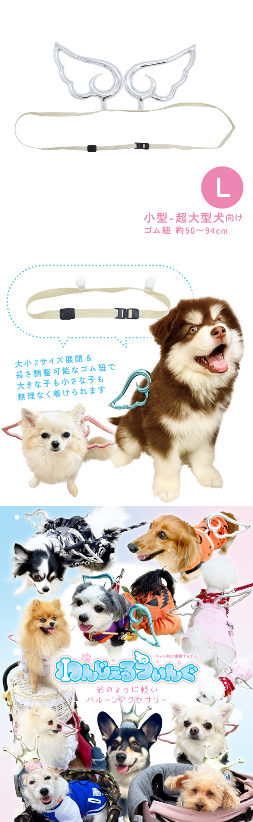 ��󤸤��뤦����L ����С� KIS31505
