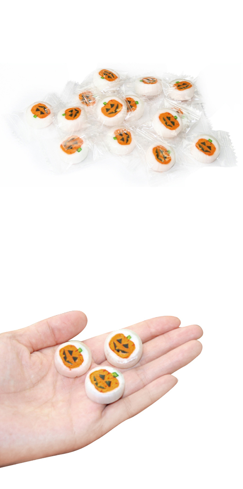 �������䢣�ϥ�ɥᥤ�ɥ����ǥ����ѥ�ץ����500���KISHW62562