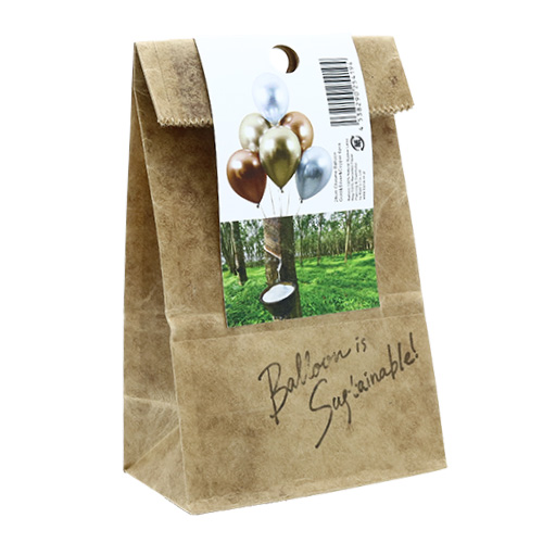 �����䢣KSP �Х롼��ե��ȥץ��åץ���11�� �������ࡡGSC�������ȡ�6������ KSP25419