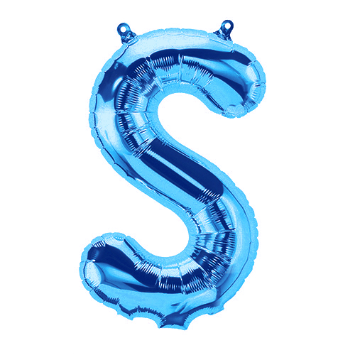 ߸˸¤ꢣ16"ץߥ쥿Х롼 ֥롼SסNSB00549