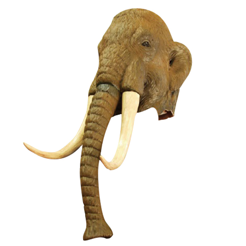 䢣ꥢƥޥޥ⥹OGWEV05614