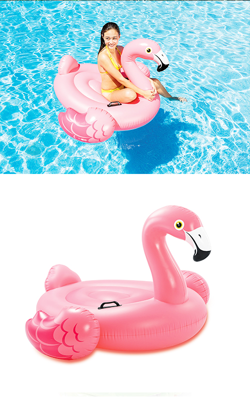 �������䢣�ե�ߥ󥴡��饤�ɥ���ONDVN40302