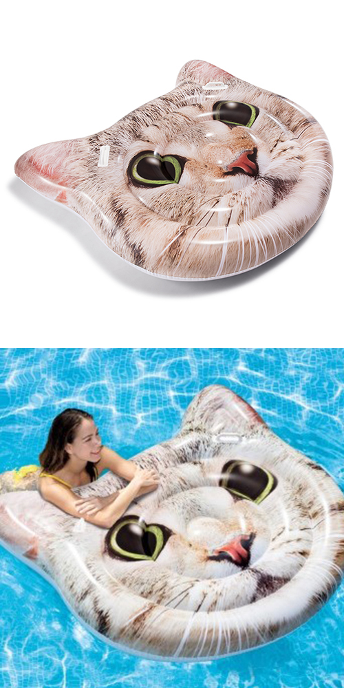 �������䢣����åȥե������������ɡ�ONDVN41342