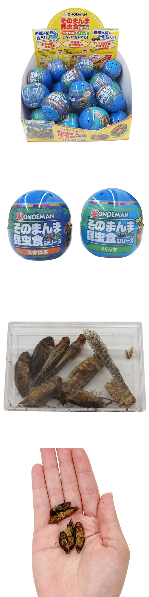 䢣Τޤ޺ ONEZG60262