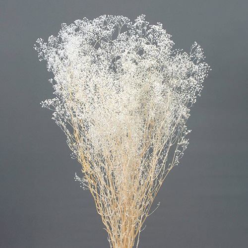 ɥ饤ե ߥ˥ OOC00201