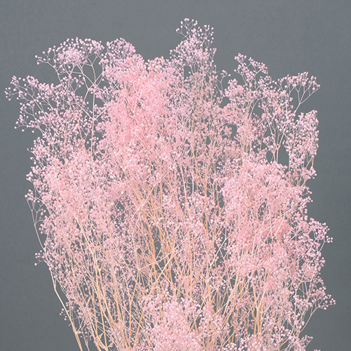 ���ɥ饤�ե� �ߥ˥�������ԥ� OOC00203