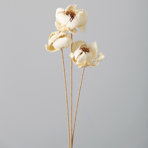 ɥ饤եѡե OOC04004