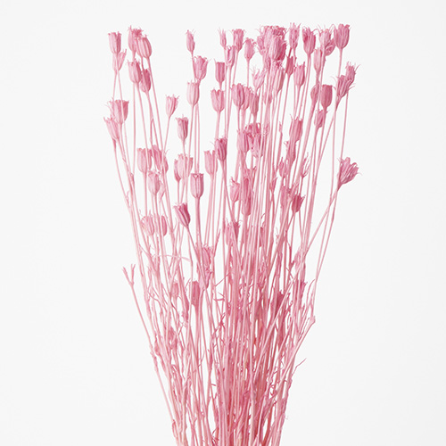 ɥ饤ե եƥʥԥ OOC18968