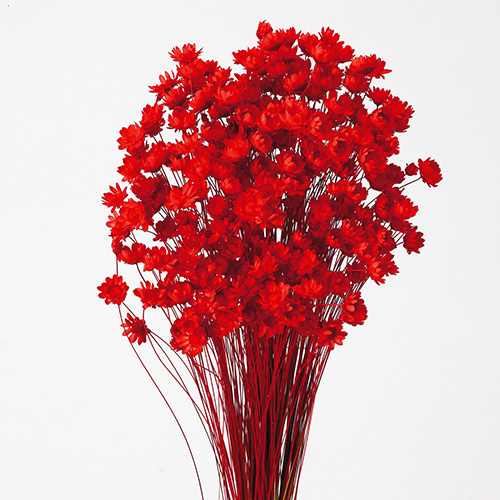 ɥ饤ե ե֥åå OOC20826