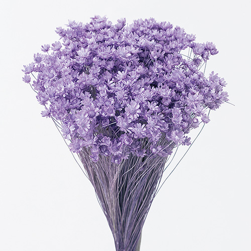 ɥ饤ե եߥ˥饤ȥѡץ OOC24513