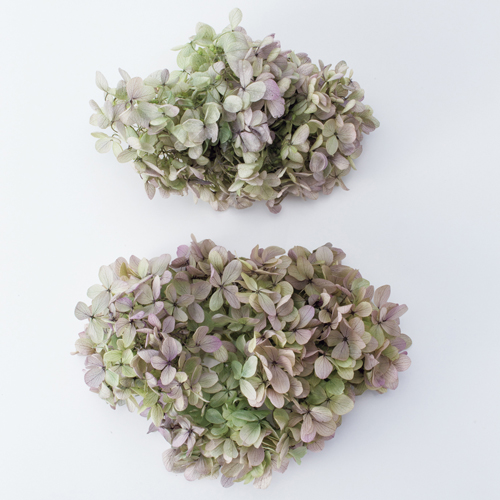 ɥ饤ե ԥߥåɥإå 쥬Υѡץ OOC27187