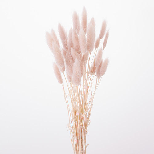 ɥ饤ե 饰饹ԥ󥯥١ OOC27729