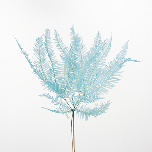 ���ɥ饤�ե������������٥ӡ��֥롼 OOC29527