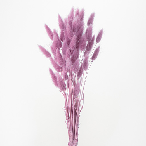 ɥ饤ե 饰饹ԥ󥯥ѡץ OOC31221