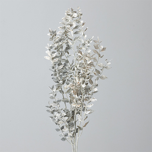 ɥ饤ե 饹ץꥶ֥ɡޥåȥۥ磻 OOC31770