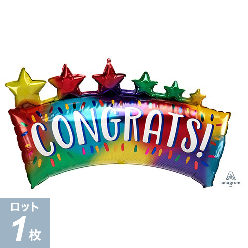 AG L-SHP 󥰥åĥХʡ P-ANG41133