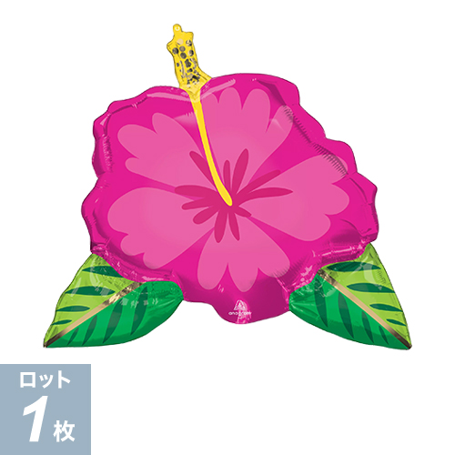 P-AGL-SHP ӥ塼ƥեȥԥϥӥ P-ANG42671