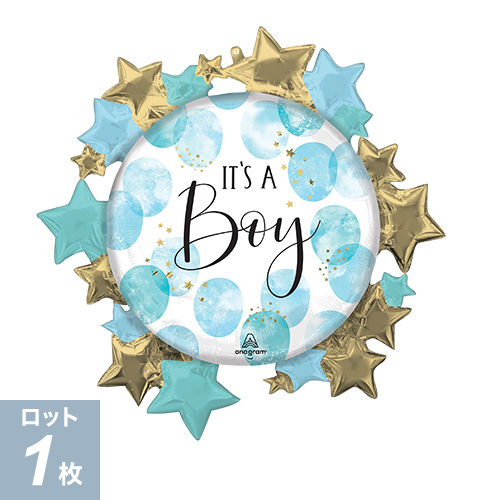 P-AGL-SHP٥ӡ ܡ ֥롼 顼 P-ANG46185