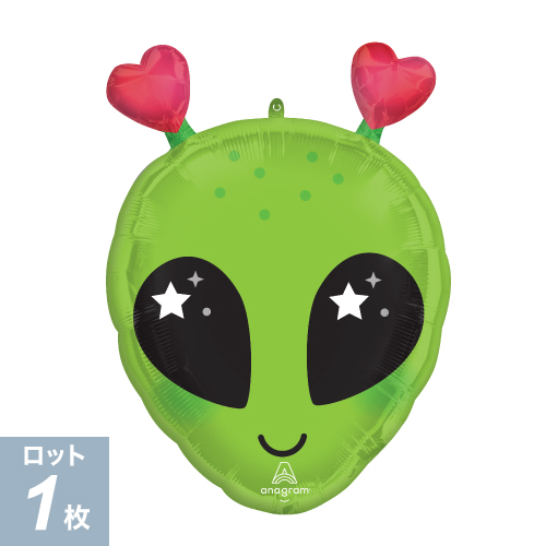 AGL-SHP ������ �ǥ��� ���� P-ANG50981