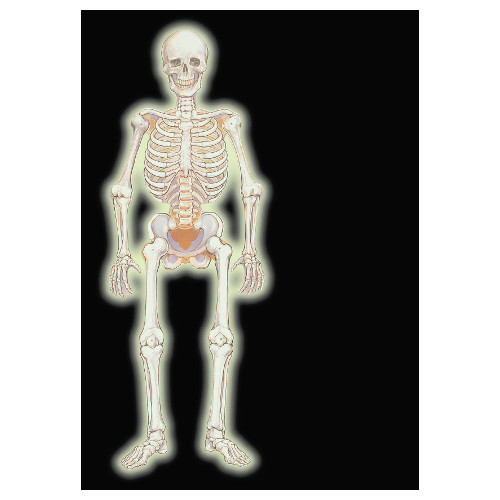 �����䢣PG���祤��ƥ��åɥ��åȥ����� ������������ȥ�PG19567