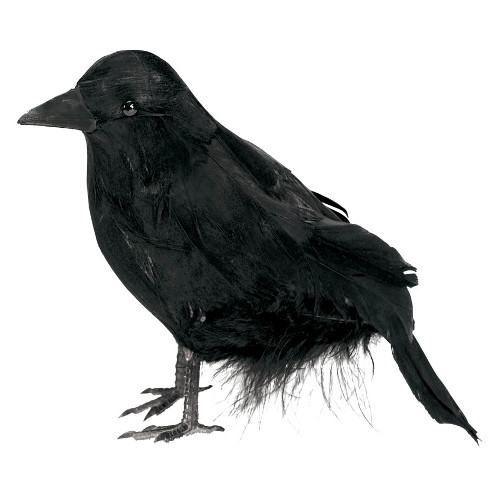 䢣50%OFF뢣PG⡼쥤PG247201