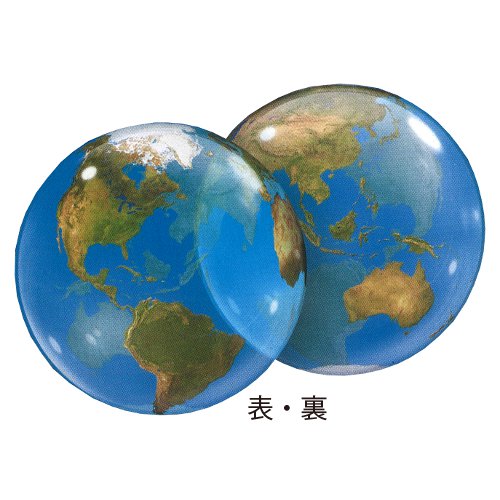 䢣ӥХ֥Х롼󡡥ץͥåȥPIN16871