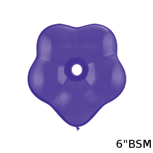 䢣QL6 ֥å ѡץХå 50 PIN18627