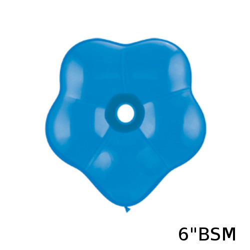 䢣QL6 ֥å ֥롼 50 PIN18629