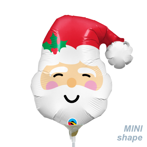 䢣MFߥSHP ߥ˥ PIN27973