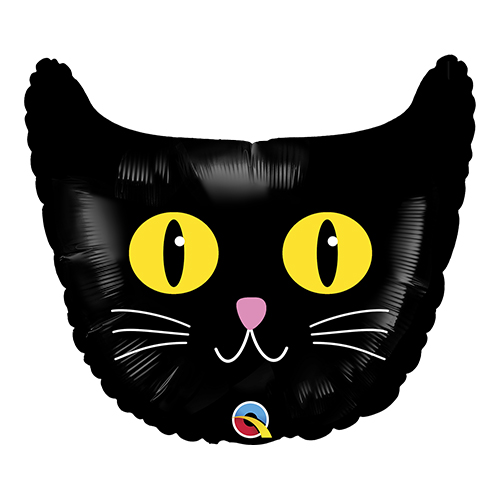 䢣MF21 ֥åå PIN28072