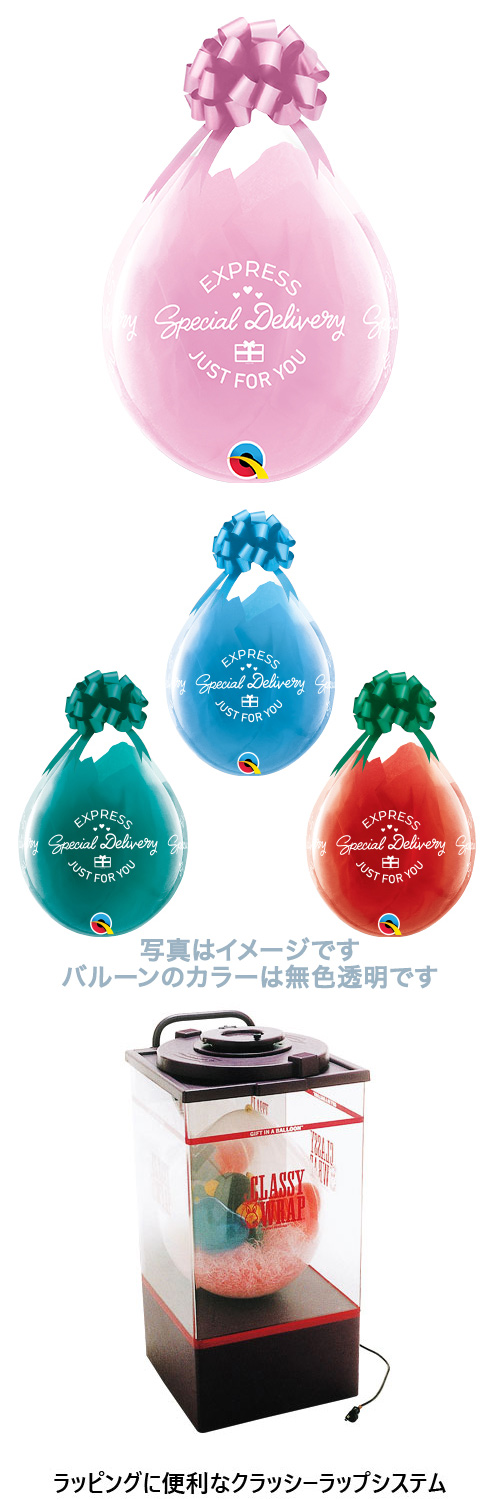 QL18R ڥǥХ꡼ ɥꥢ PIN28083