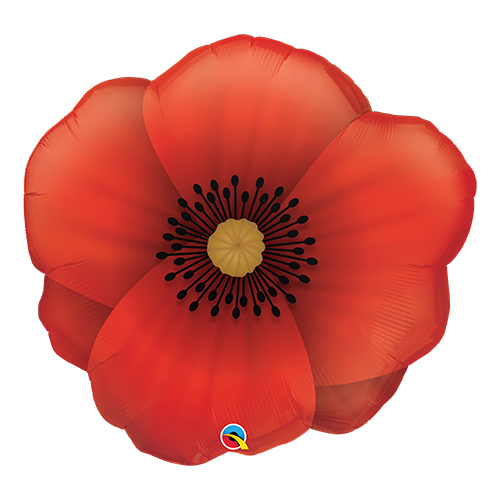 䢣MF31 ץƥݥԡ PIN34362