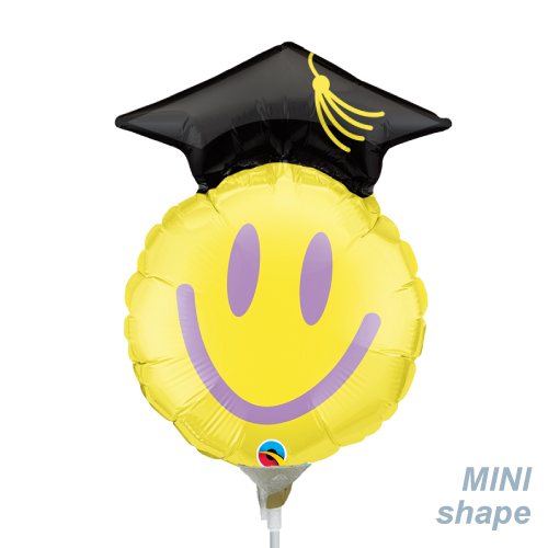 䢣MF14 ߥ˥åɥޥ PIN34622