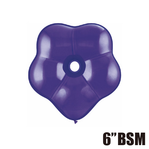 䢣QL6 ֥å ĥѡץ 50 PIN37667