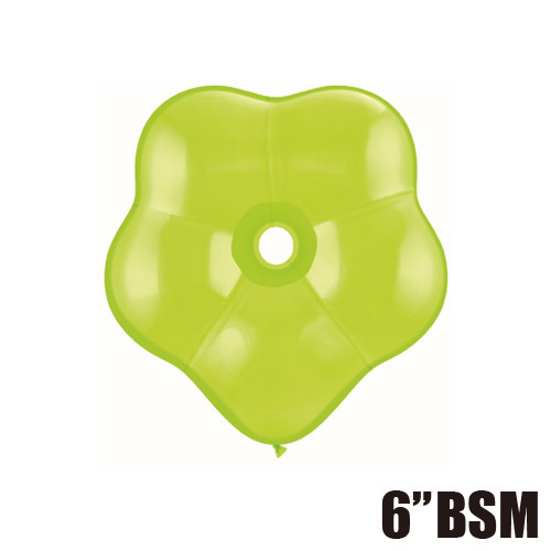 䢣QL6 ֥å 饤॰꡼ 50 PIN37685