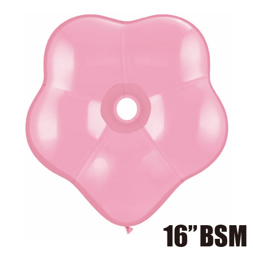 䢣QL16 ֥å ԥ 25 PIN37804