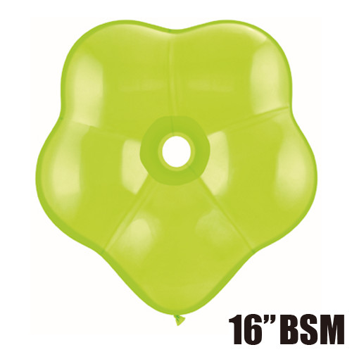 䢣QL16 ֥å 饤॰꡼ 25 PIN37816