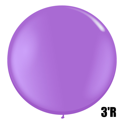 䢣QL3'R ץ󥰥饤åPIN43656