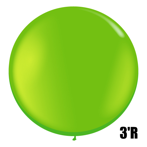 䢣QL3'R 饤॰꡼PIN43660