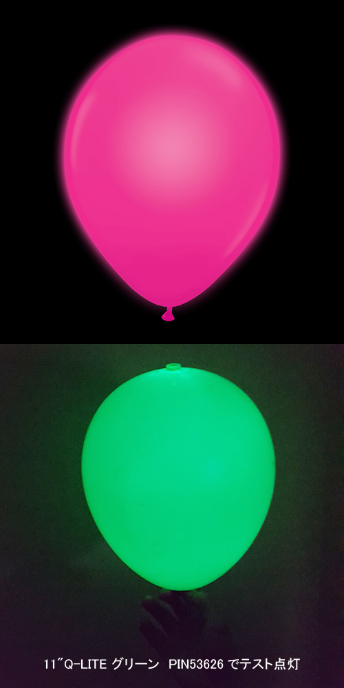 䢣10"Q-LITE ޥ󥿡PIN53619