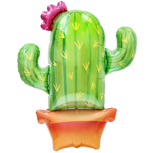 䢣MF39" ݥåƥɥPIN78635