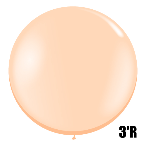 䢣QL3'R ֥å塡PIN82987