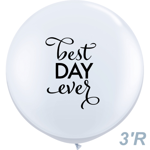 䢣QL3'ץ꡼٥ȥǡС ۥ磻ȡPIN88201