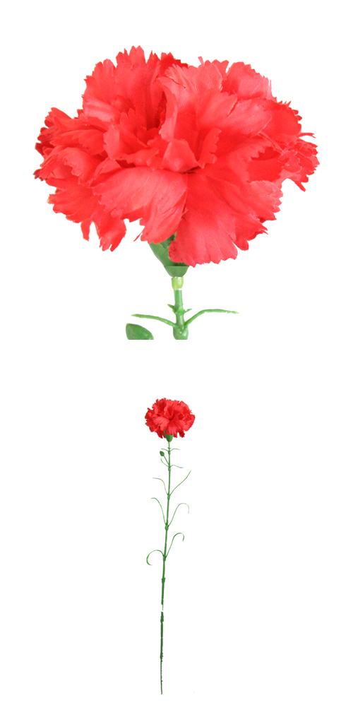 �����䢣POY���󥰥륫���͡������POY36343