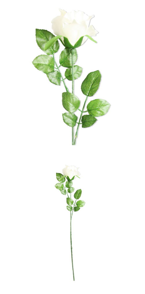 �����䢣POY�ߥ���������� �ۥ磻��POY60298