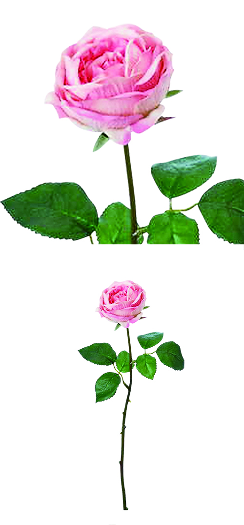 �����䢣�������ߥ������ԥ󥯡�POY60934