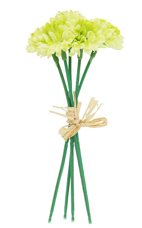 ߥ˥ԥݥޥԥåFB-2346GRPOY61714