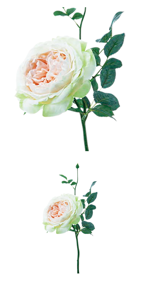 �����䢣�ե�󥷥����������硼�ȡ����꡼�॰�꡼��POY62402