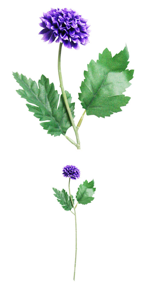 �����䢣POY�ԥ�ݥ�ޥ� �ѡ��ץ�POY62807