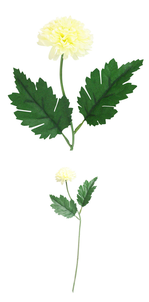 䢣POYԥݥޥ ۥ磻POY62808